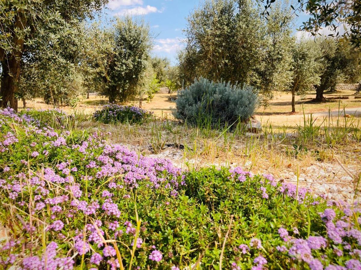 Trulli Acquasala - Apulian Country Experience Βίλα Ostuni Εξωτερικό φωτογραφία